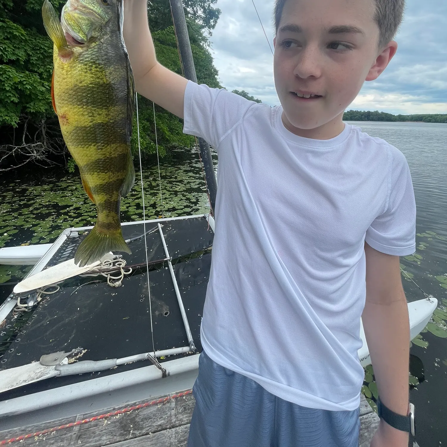 recently logged catches