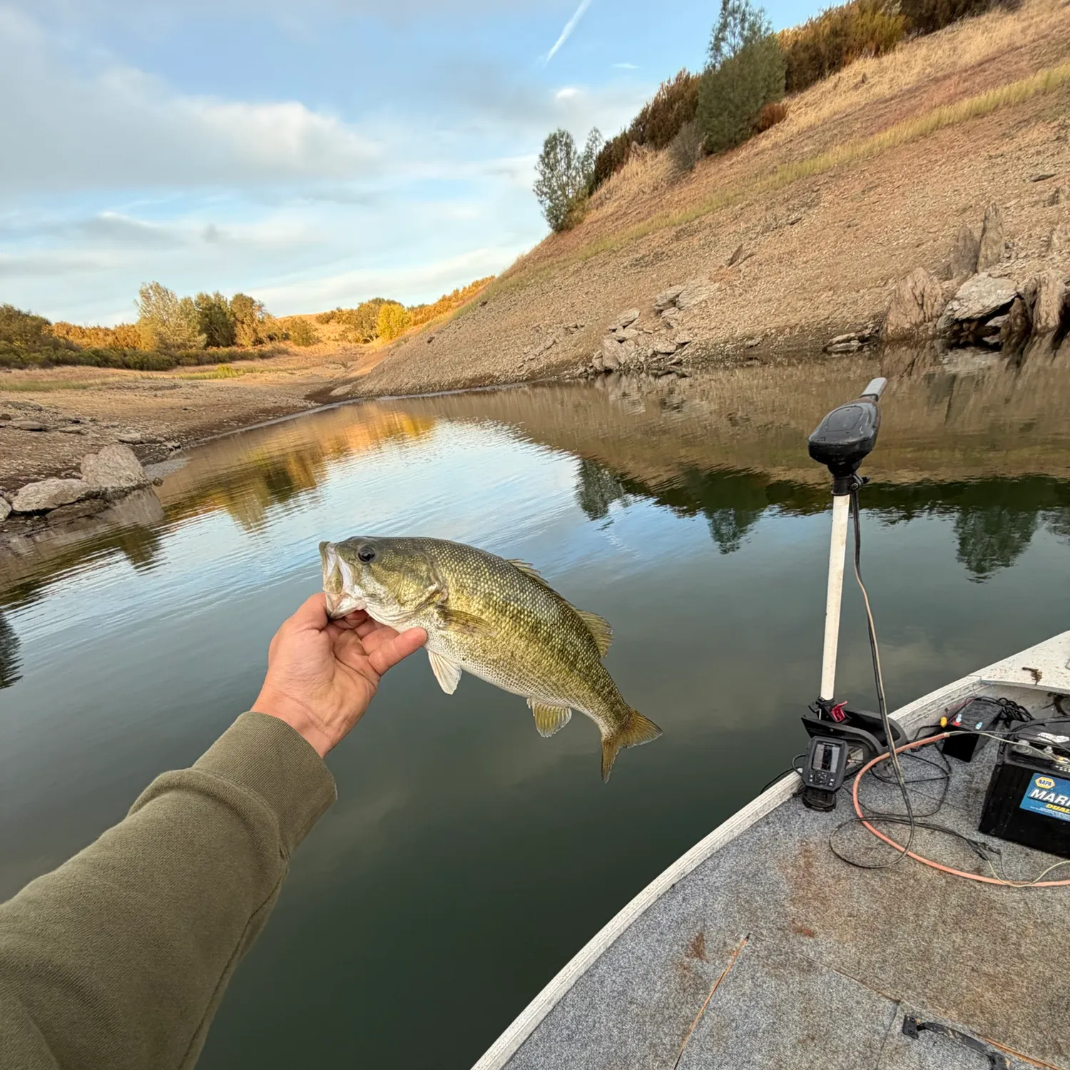 Spotted bass caught on Fishbrain