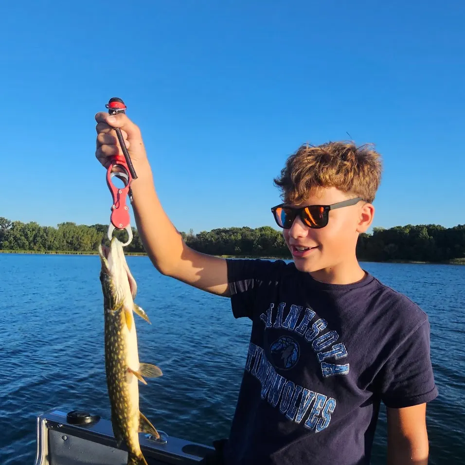 Northern pike caught on Fishbrain