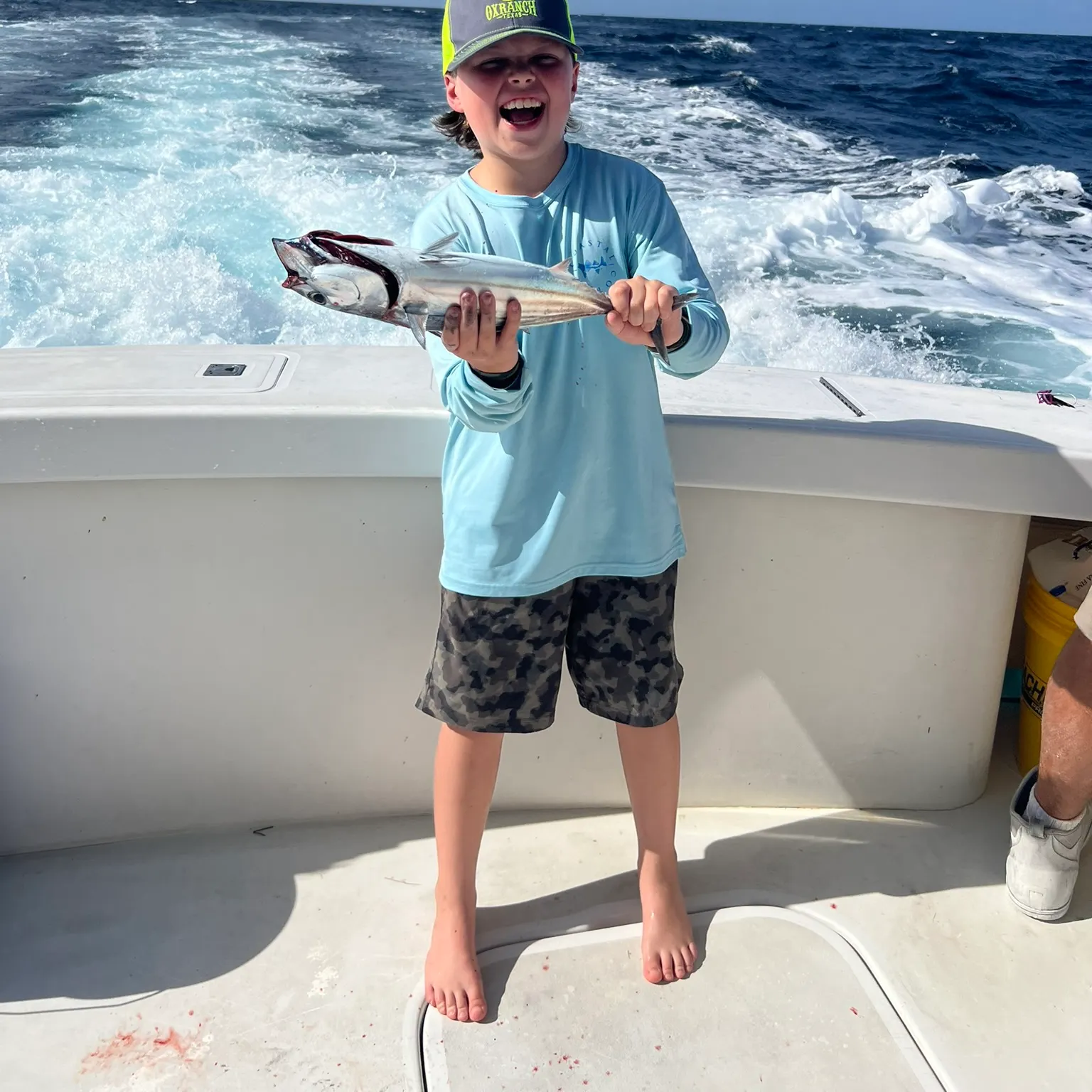The most recent Skipjack tuna catches on Fishbrain