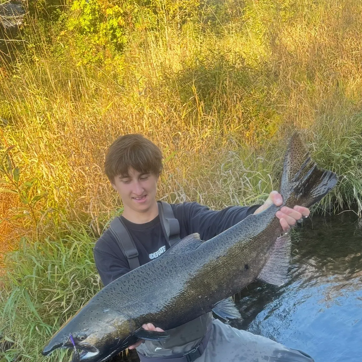 Chinook salmon caught on Fishbrain
