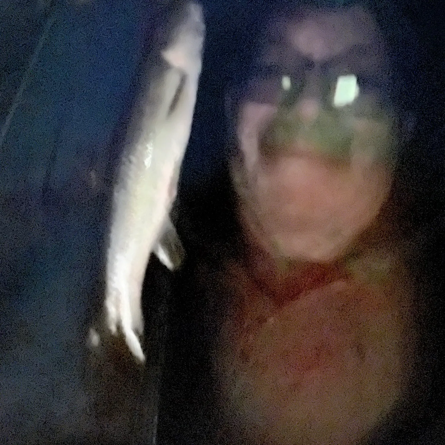 The most recent Hornyhead chub catches on Fishbrain