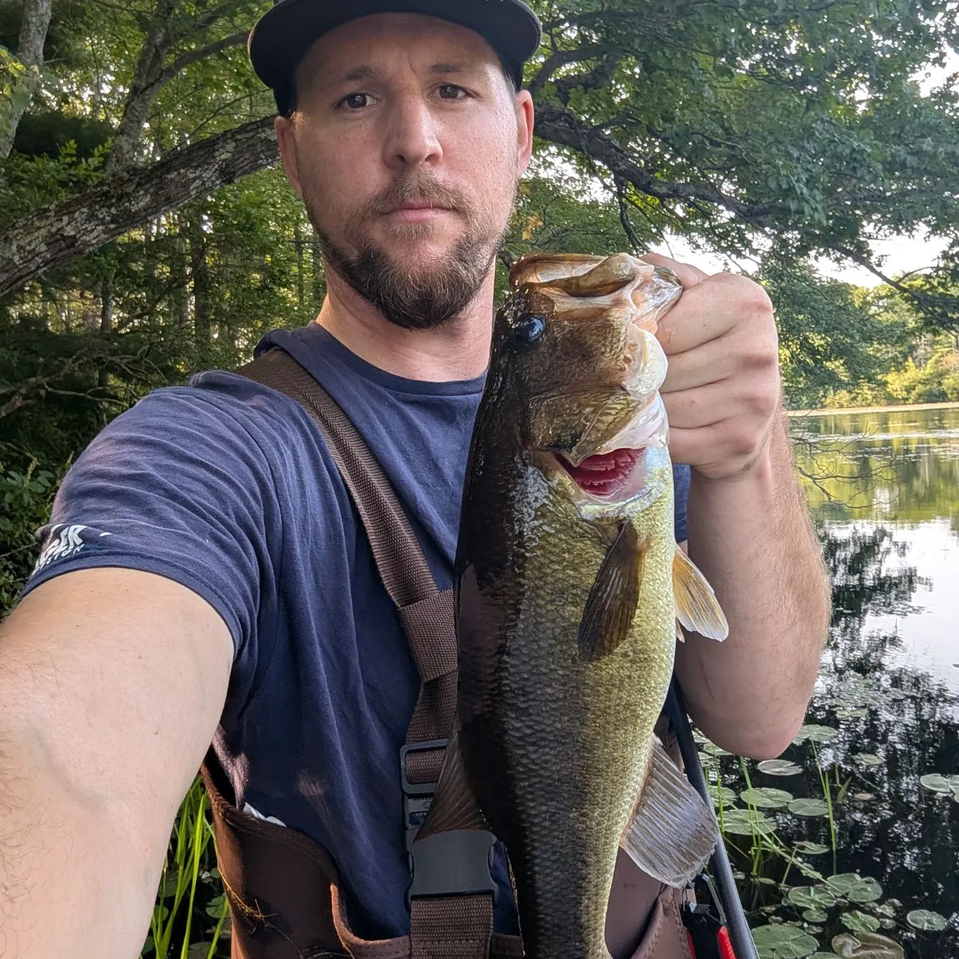 Largemouth bass caught on Fishbrain