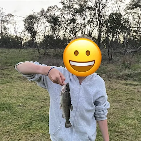 Rainbow trout caught on Fishbrain