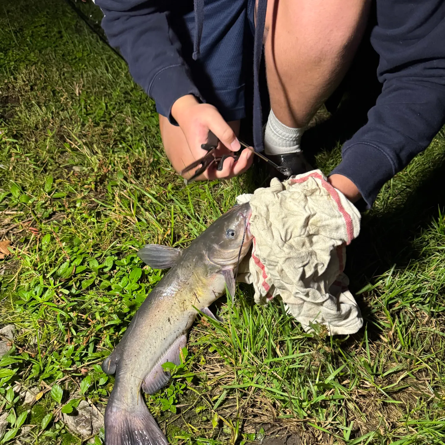 catch
