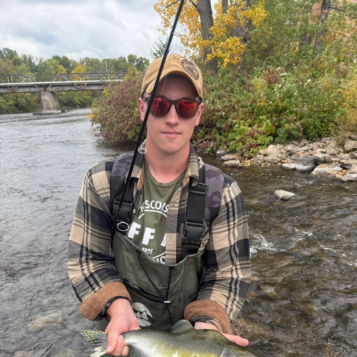 Pink salmon caught on Fishbrain