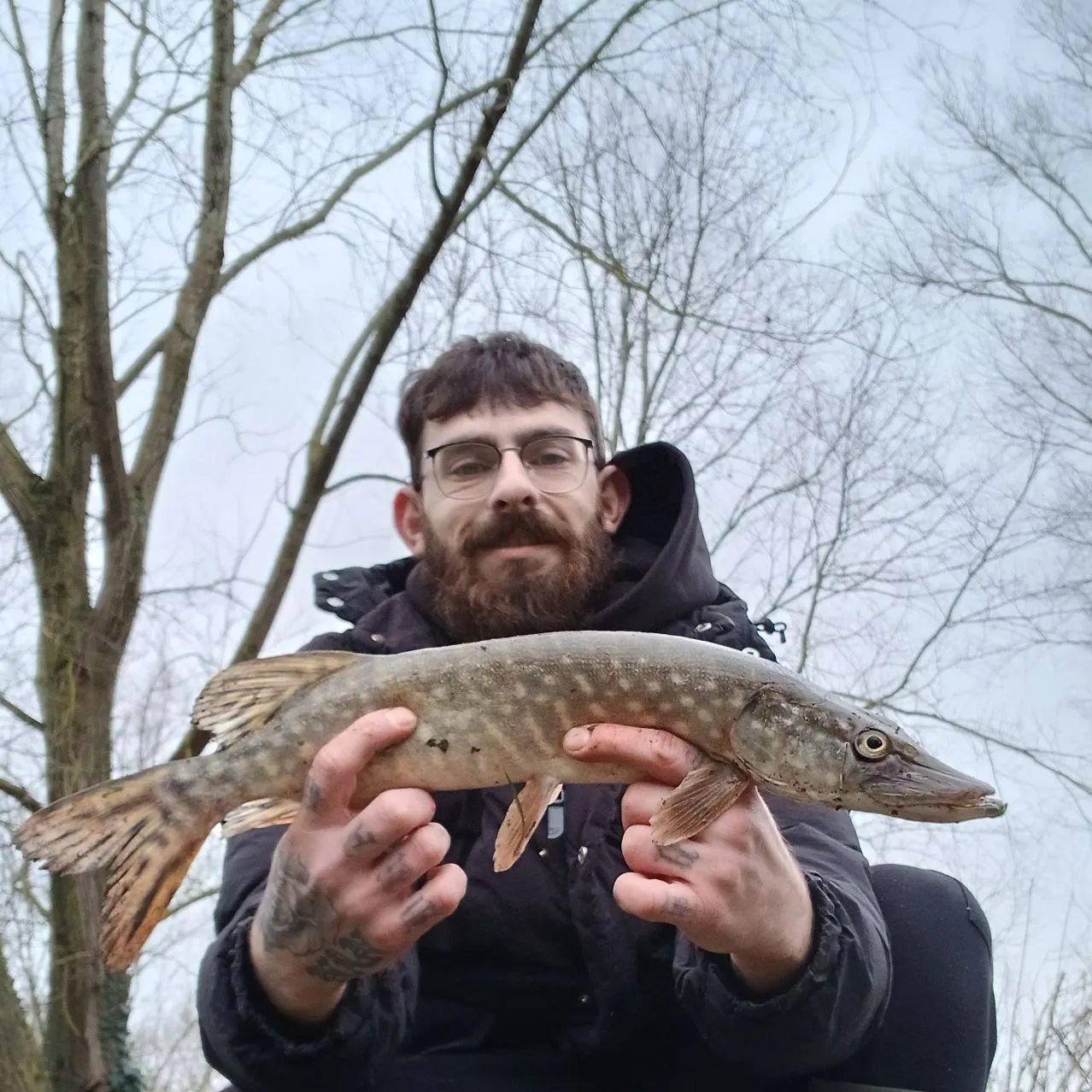 The most recent Northern pike catches on Fishbrain