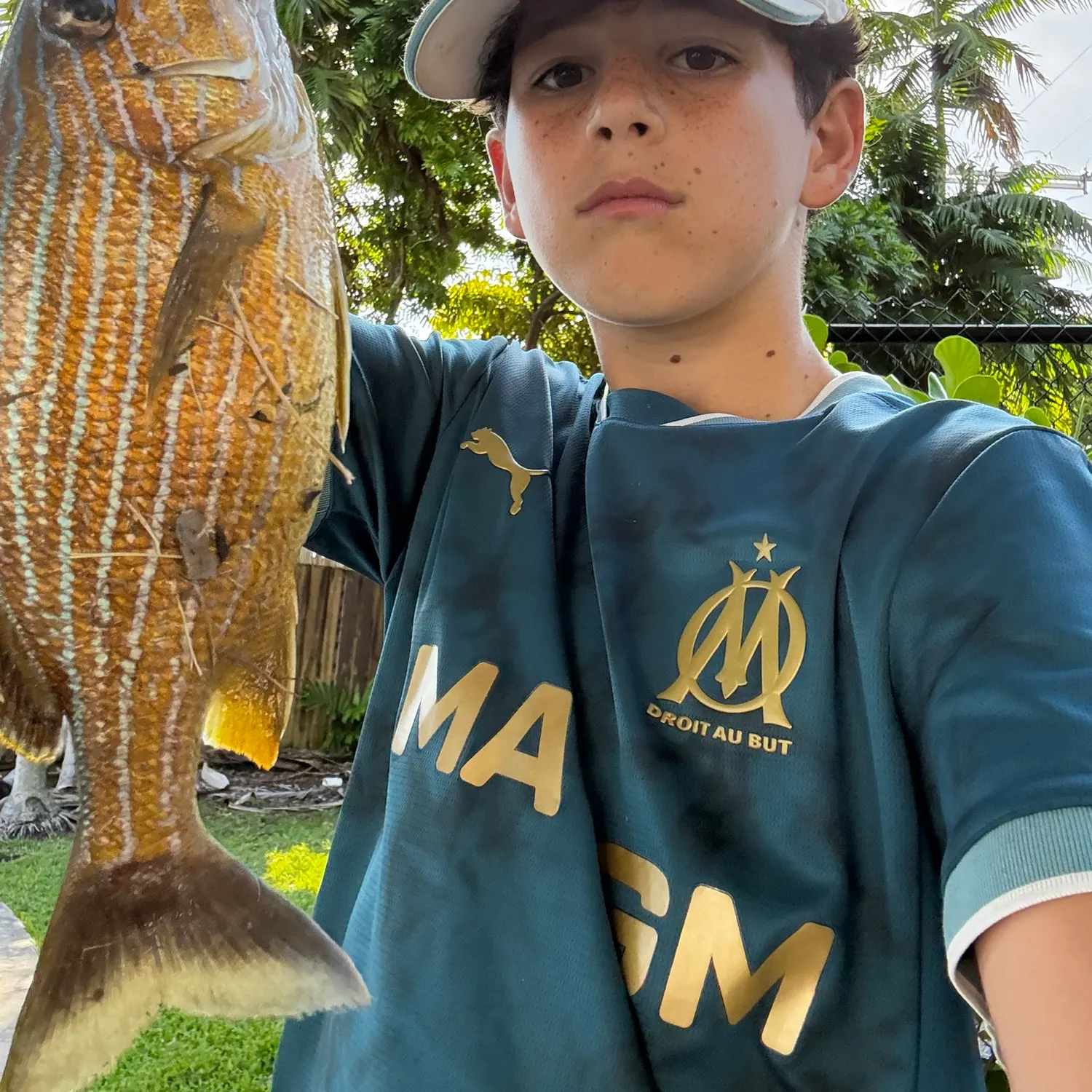 The most recent Bluestriped grunt catches on Fishbrain