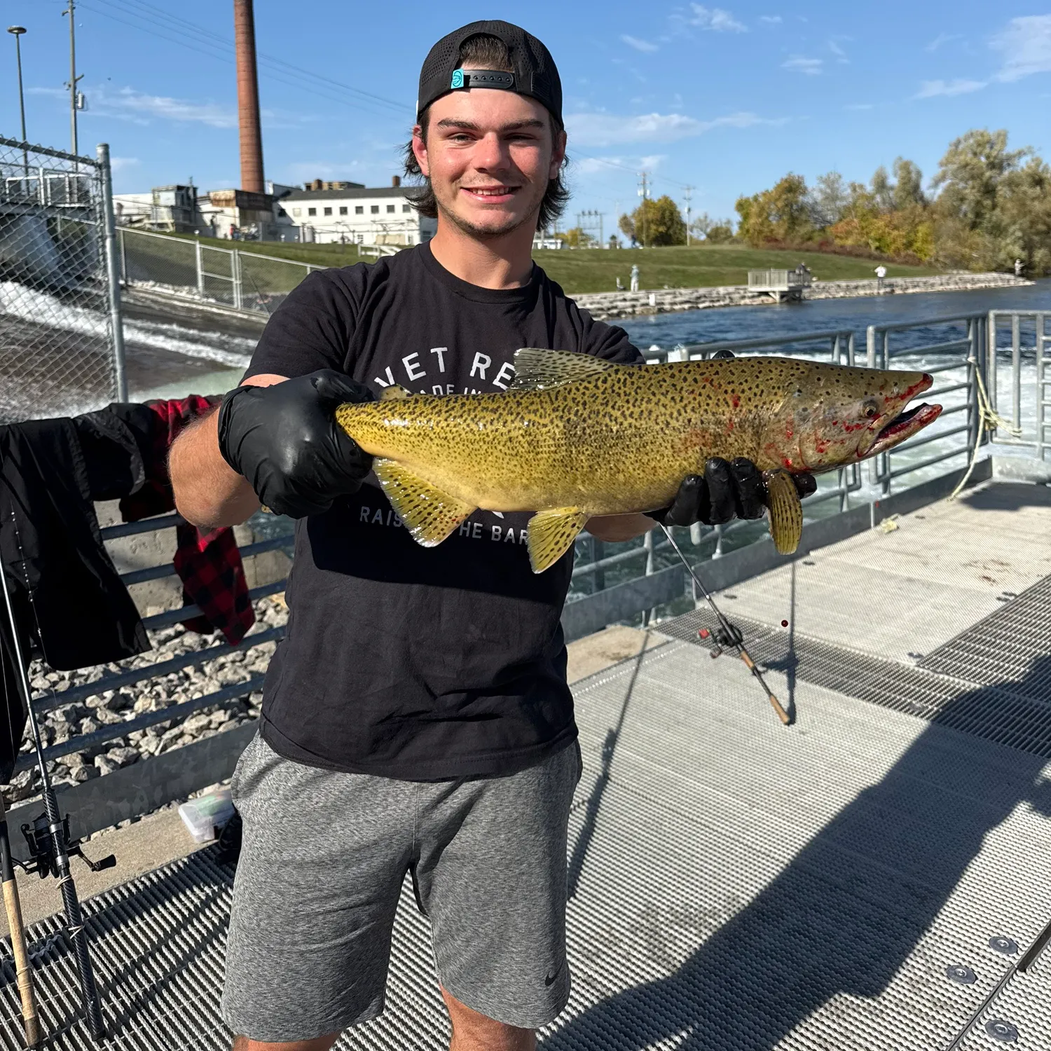Chinook salmon caught on Fishbrain
