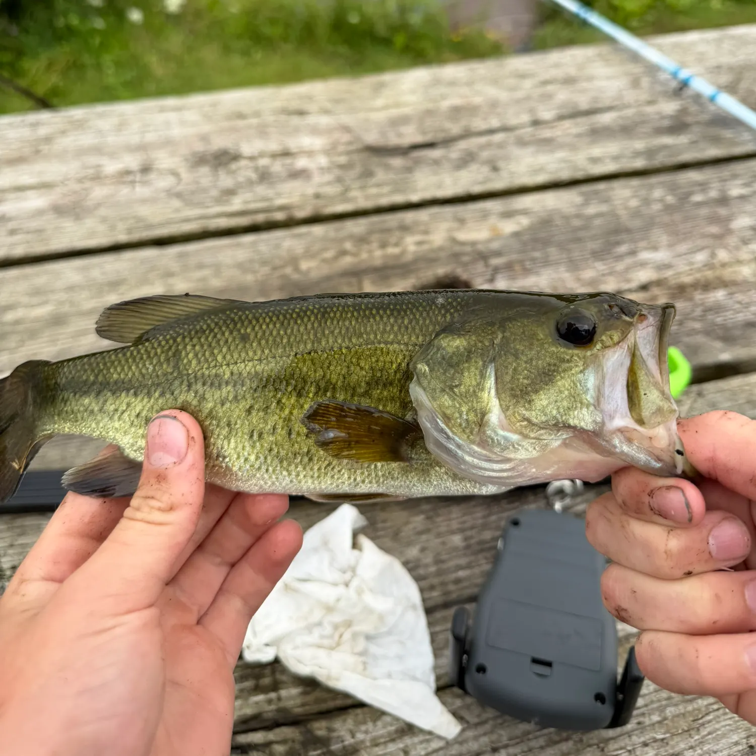 catch