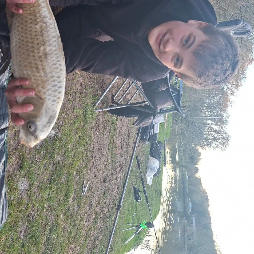 The most recent Ghost carp catches on Fishbrain