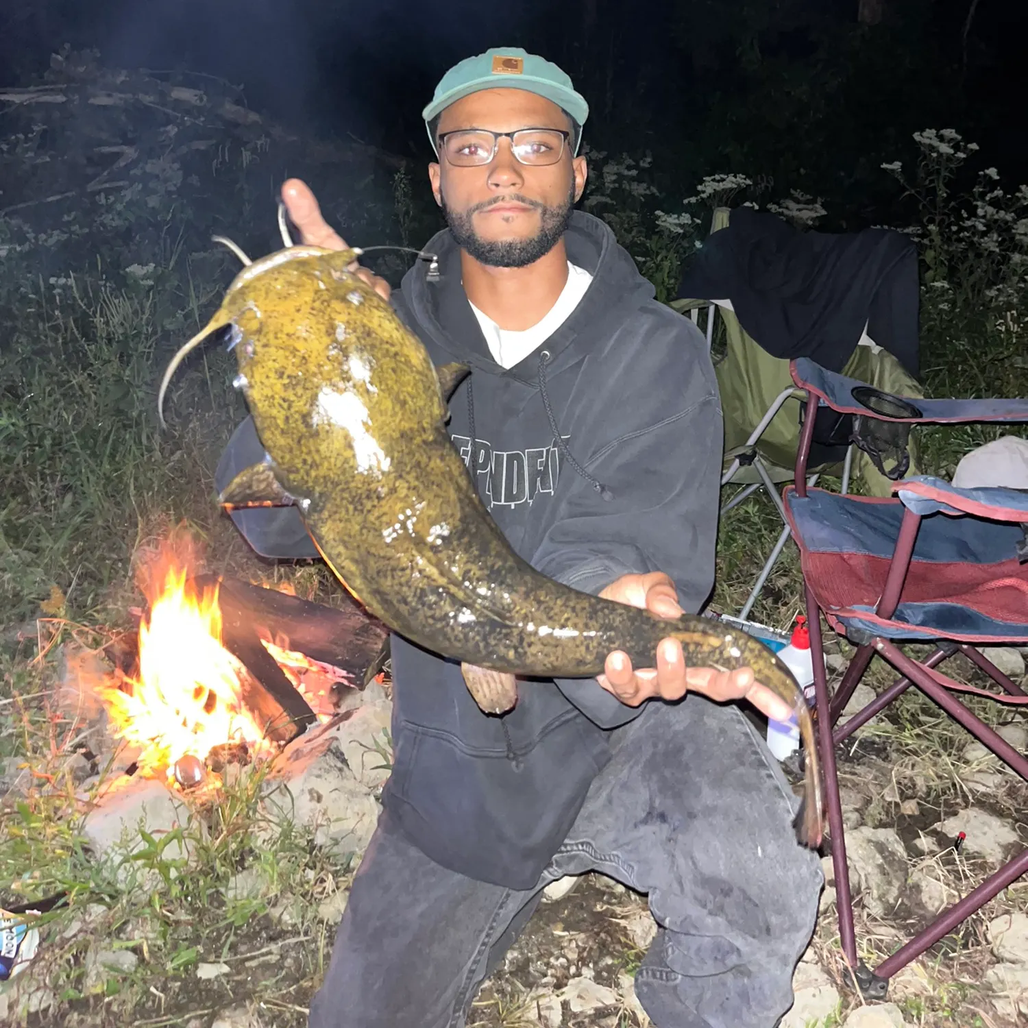 Flathead catfish caught on Fishbrain