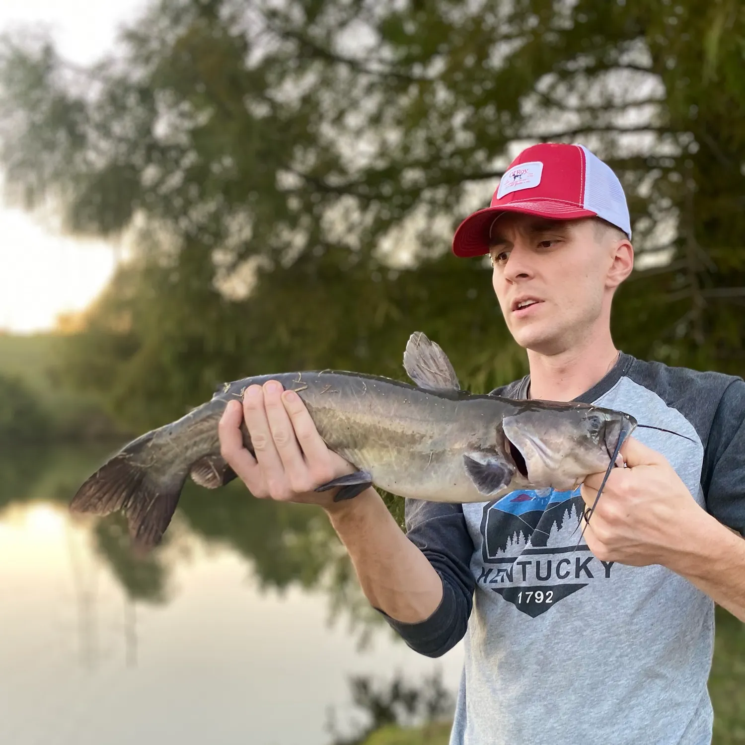 Channel catfish caught on Fishbrain