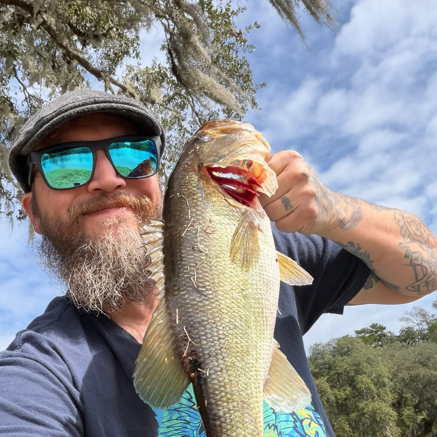 Largemouth bass caught on Fishbrain
