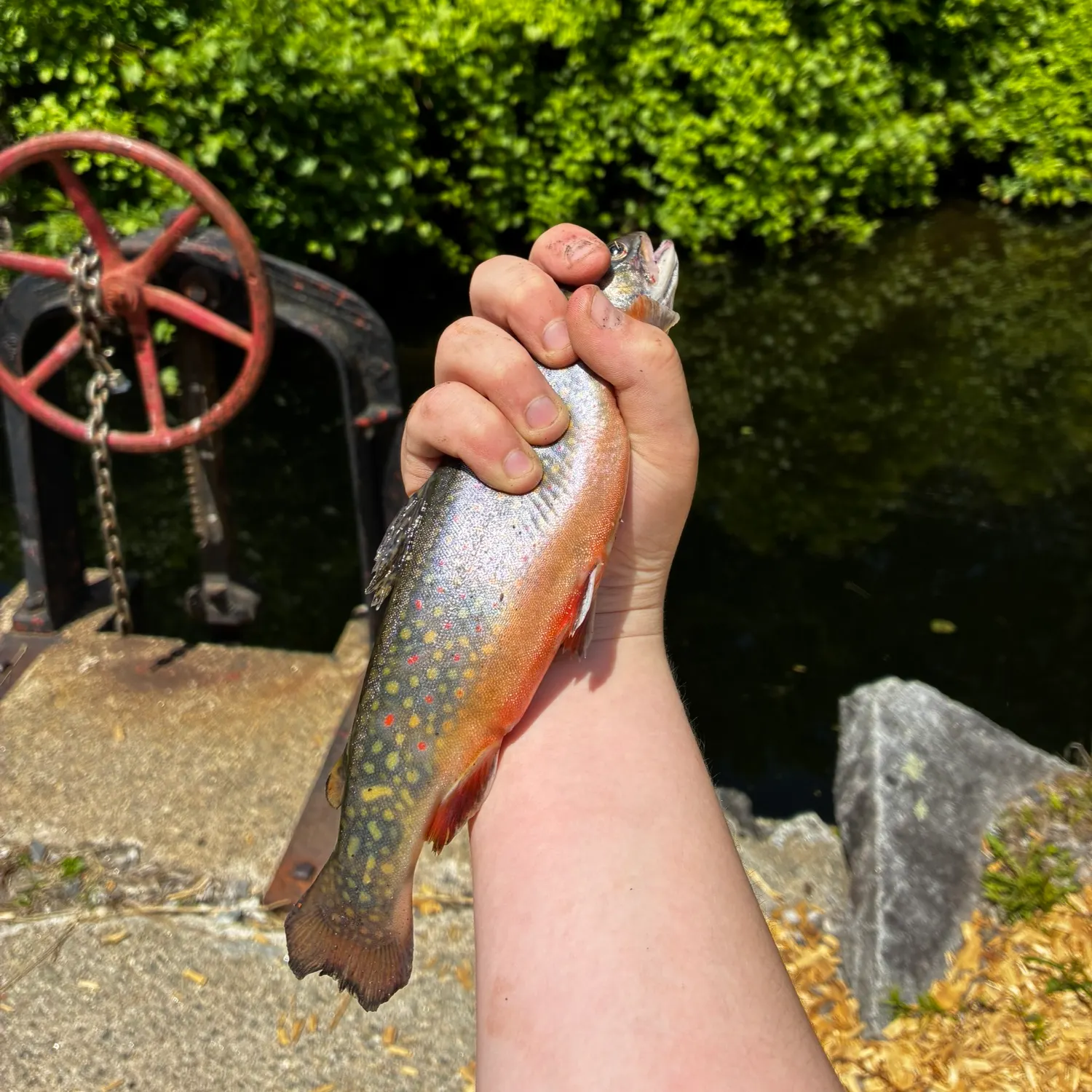 catch