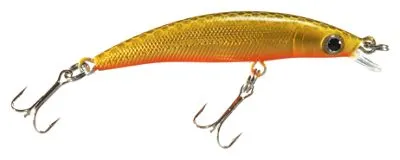 Xts Minnow
