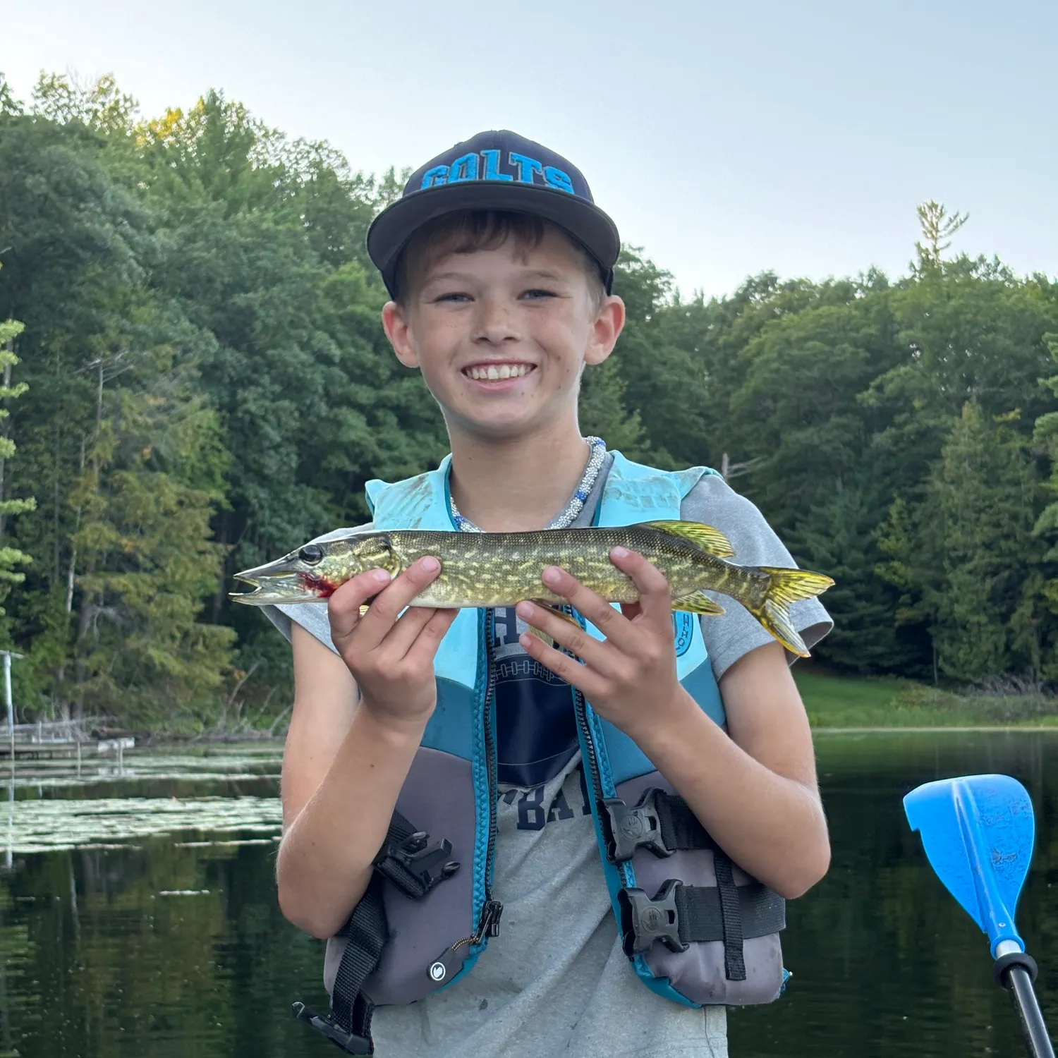 Northern pike caught on Fishbrain
