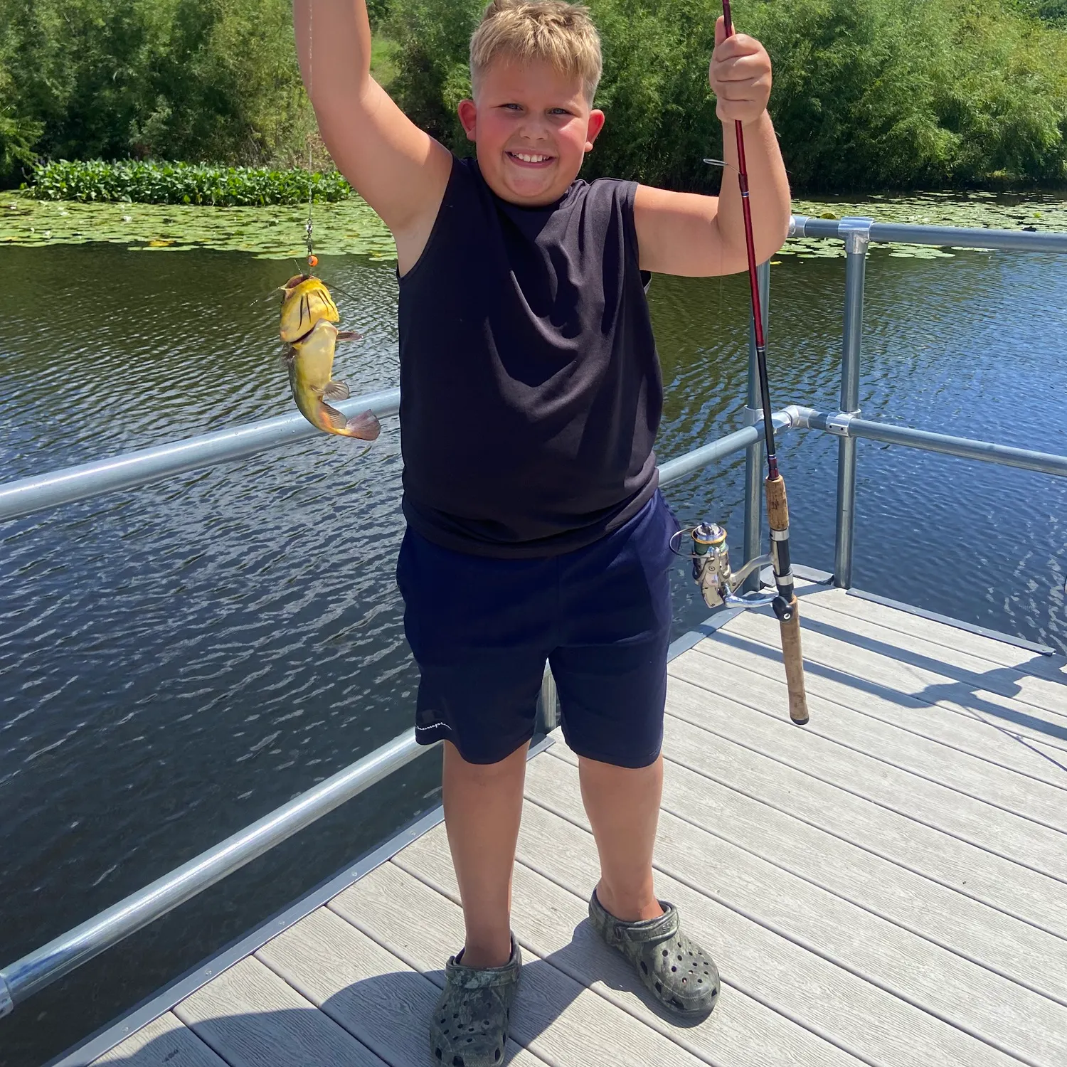 Yellow bullhead caught on Fishbrain