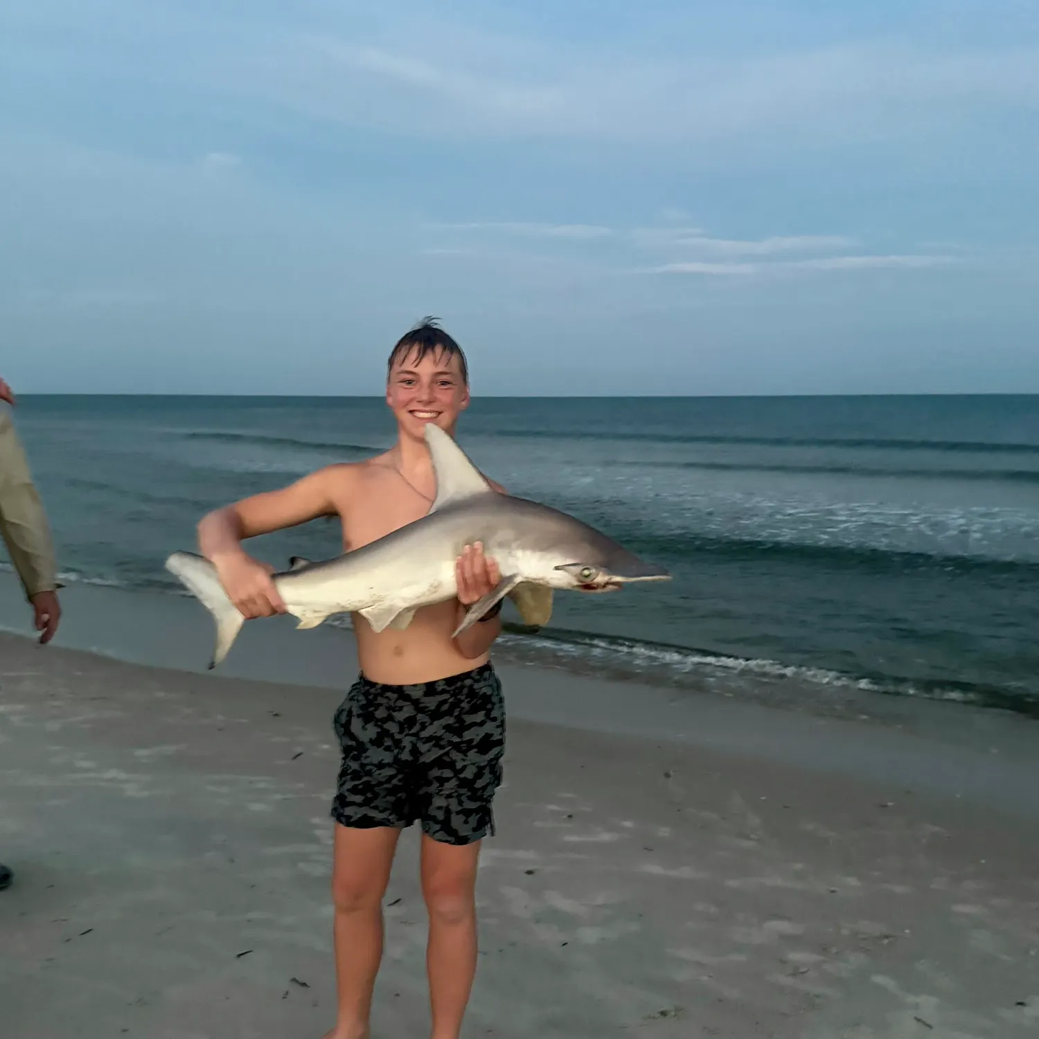 The most recent Smooth hammerhead shark catches on Fishbrain