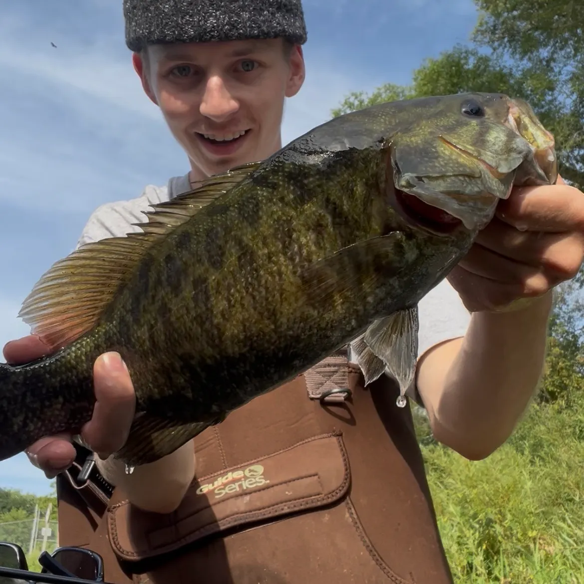 Smallmouth bass caught on Fishbrain