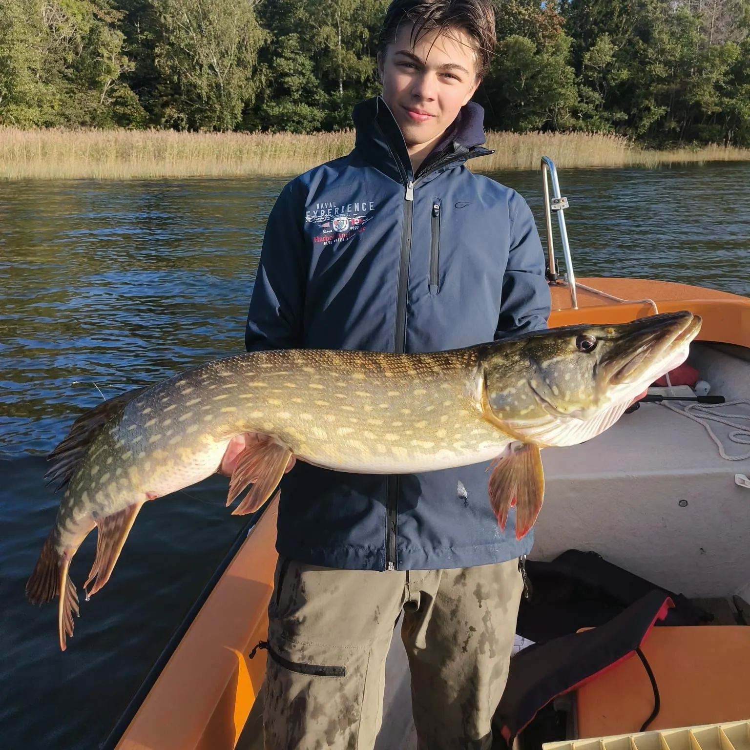 Northern pike caught on Fishbrain