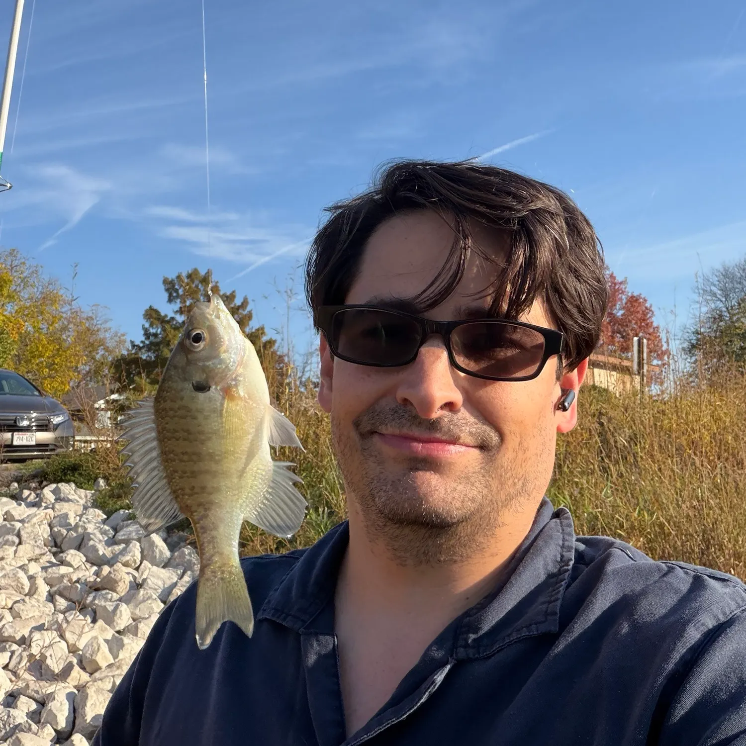 Bluegill caught on Fishbrain