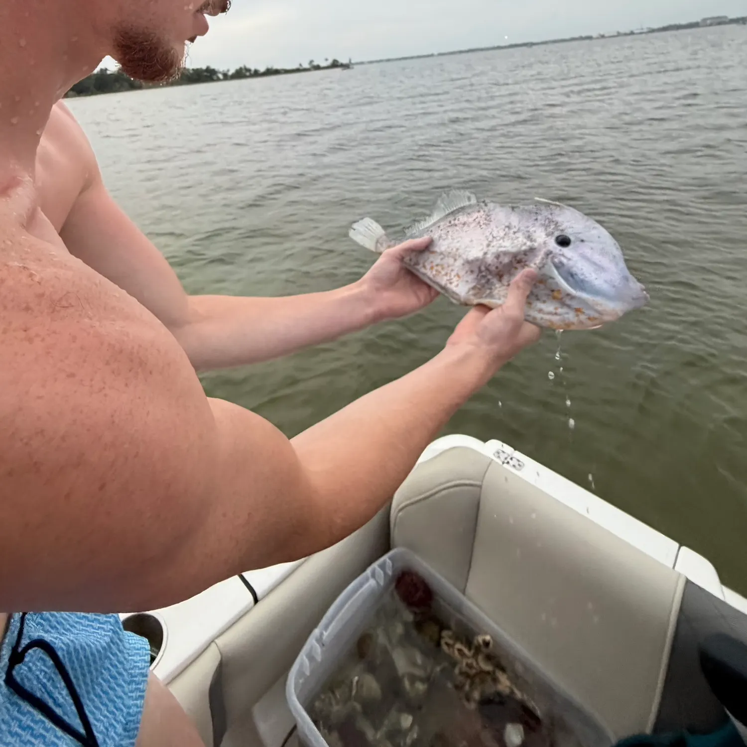 The most recent Unicorn leatherjacket filefish catches on Fishbrain