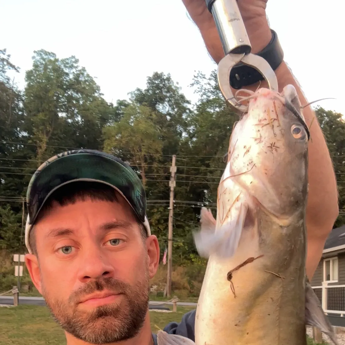 Channel catfish caught on Fishbrain