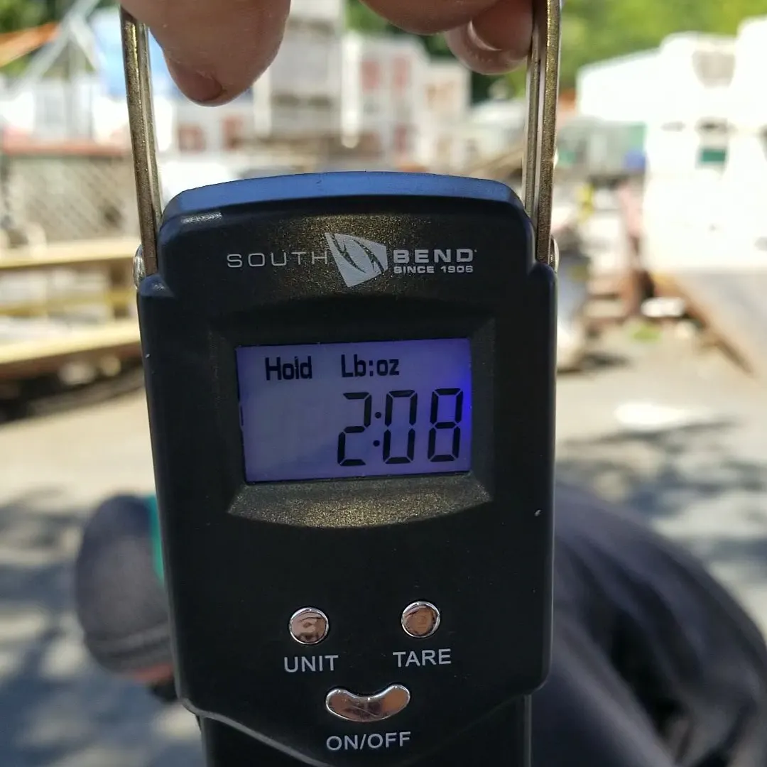 The most recent Sunset rockfish catches on Fishbrain