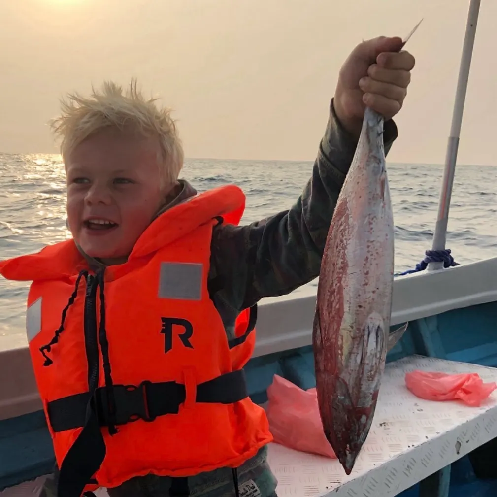 Blackfin tuna caught on Fishbrain