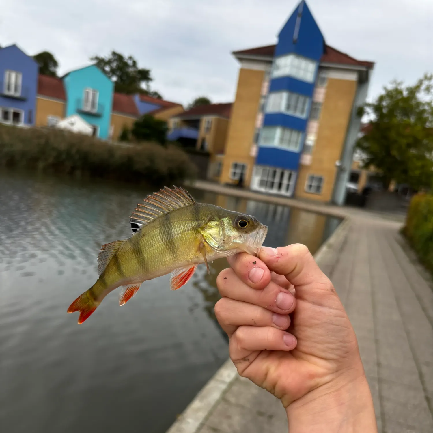 catch