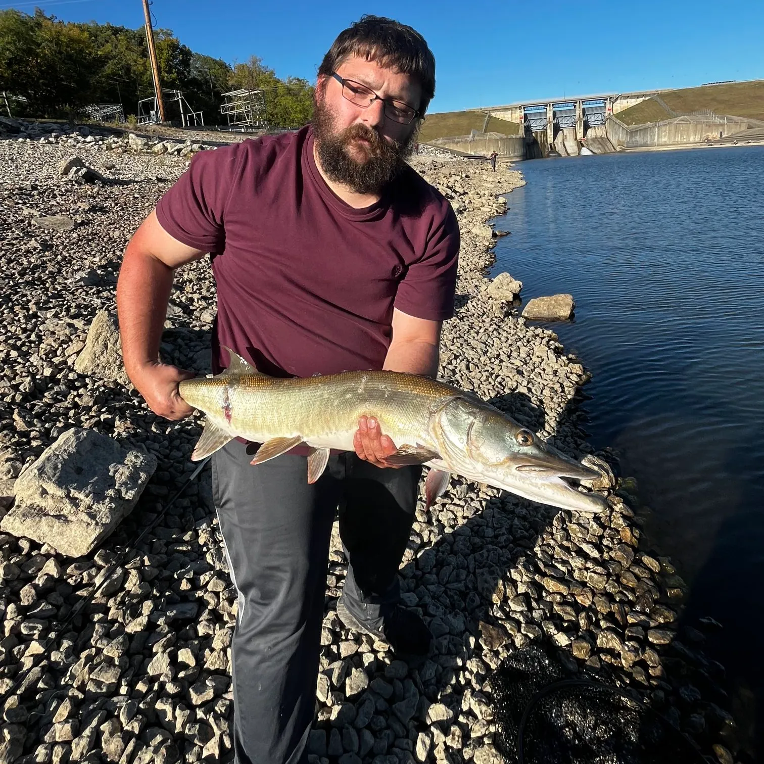 Muskie caught on Fishbrain
