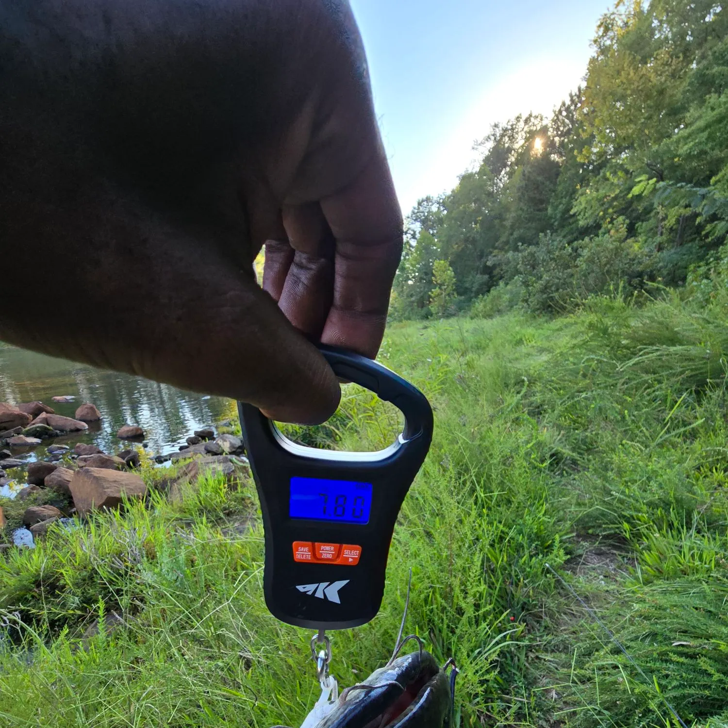 Black bullhead caught on Fishbrain