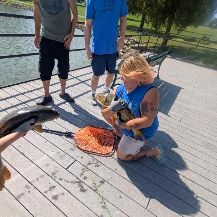 Common carp caught on Fishbrain