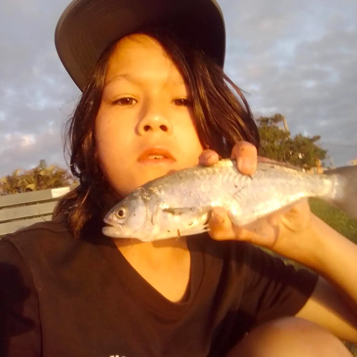 The most recent Bluefish catches on Fishbrain