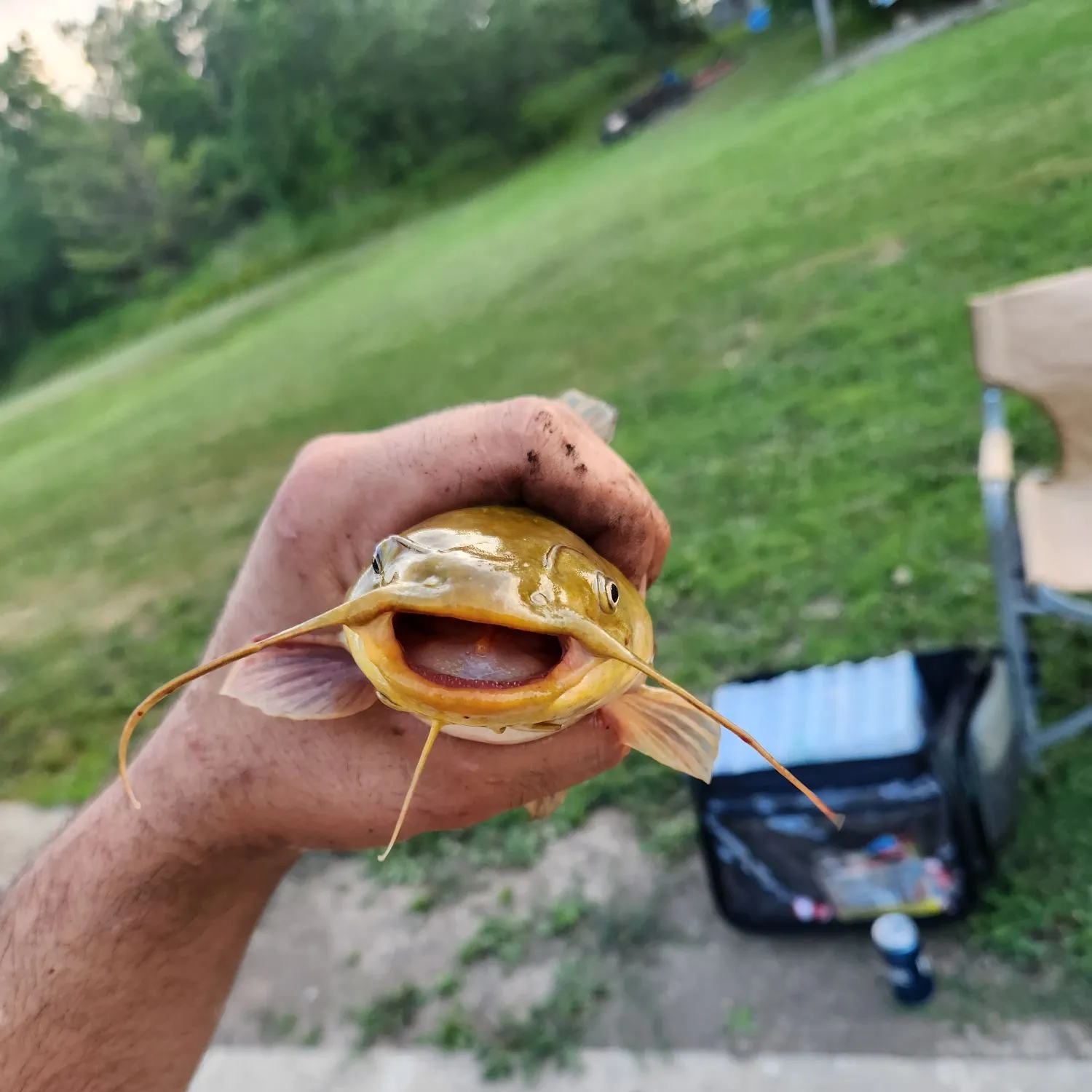 catch