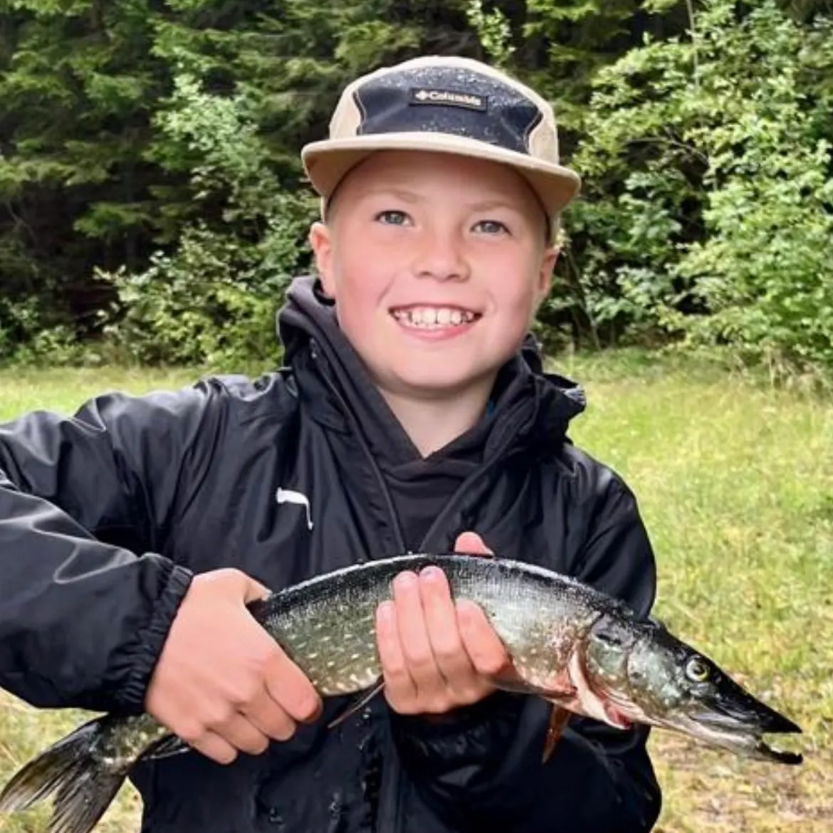 Northern pike caught on Fishbrain
