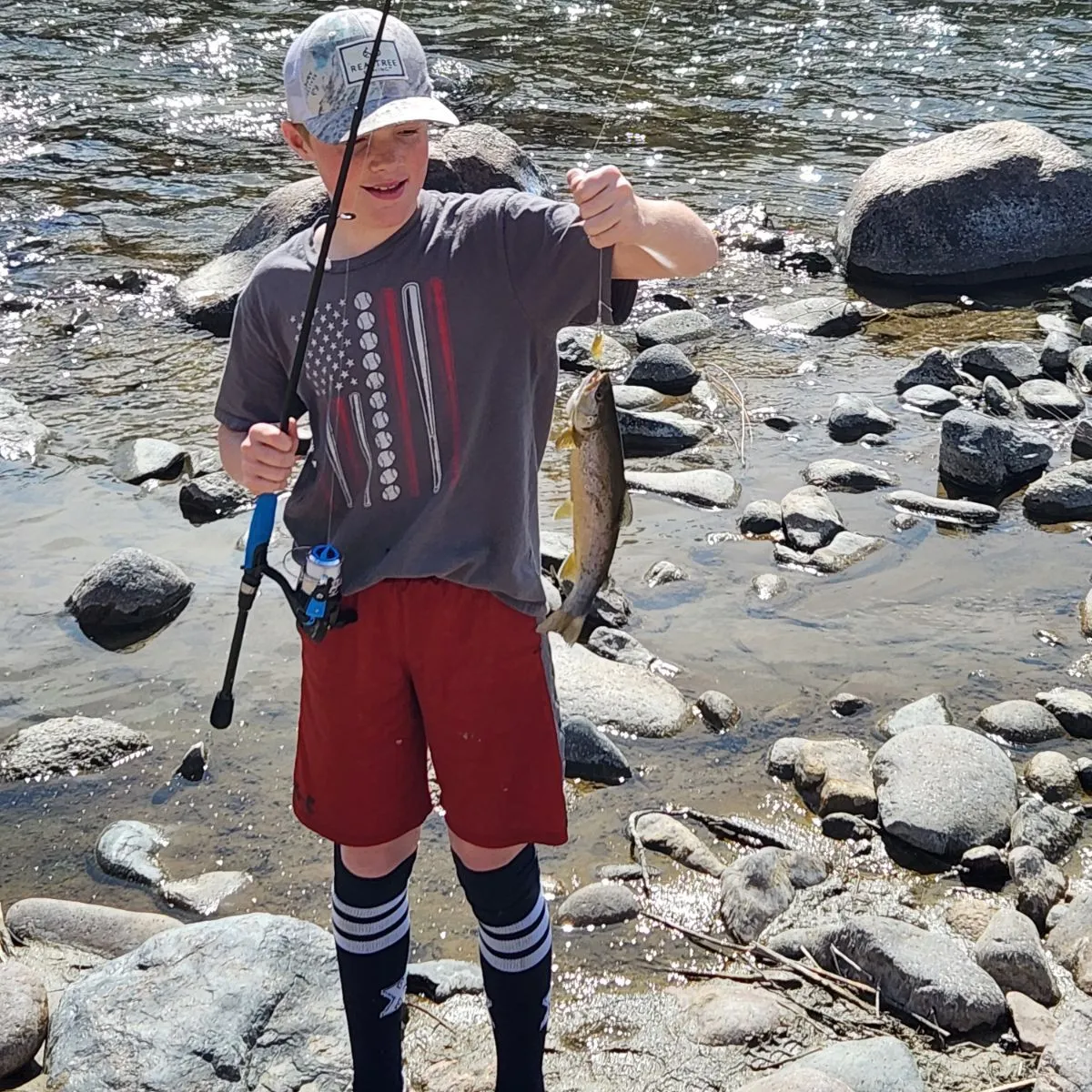 Brown trout caught on Fishbrain