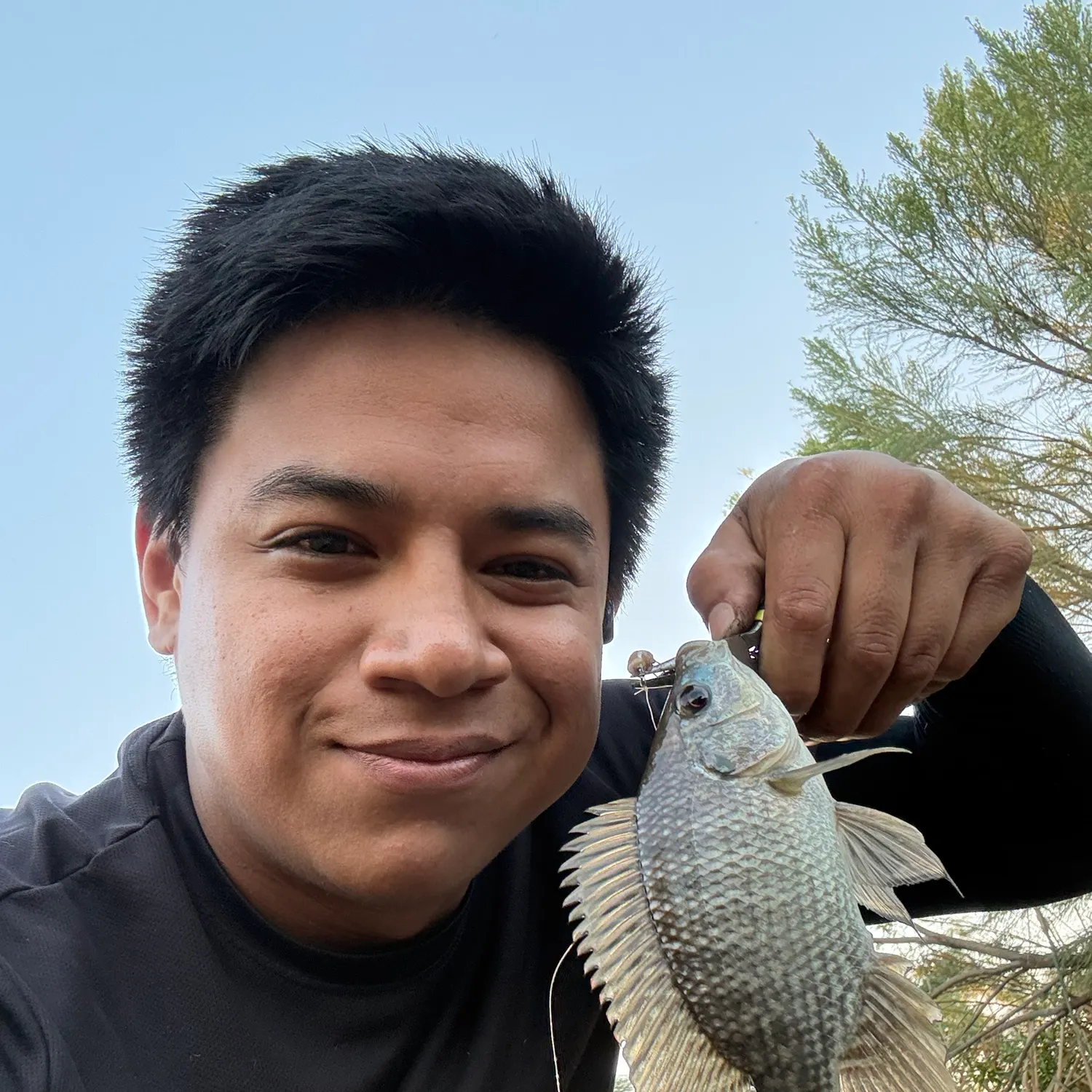 Nile tilapia caught on Fishbrain