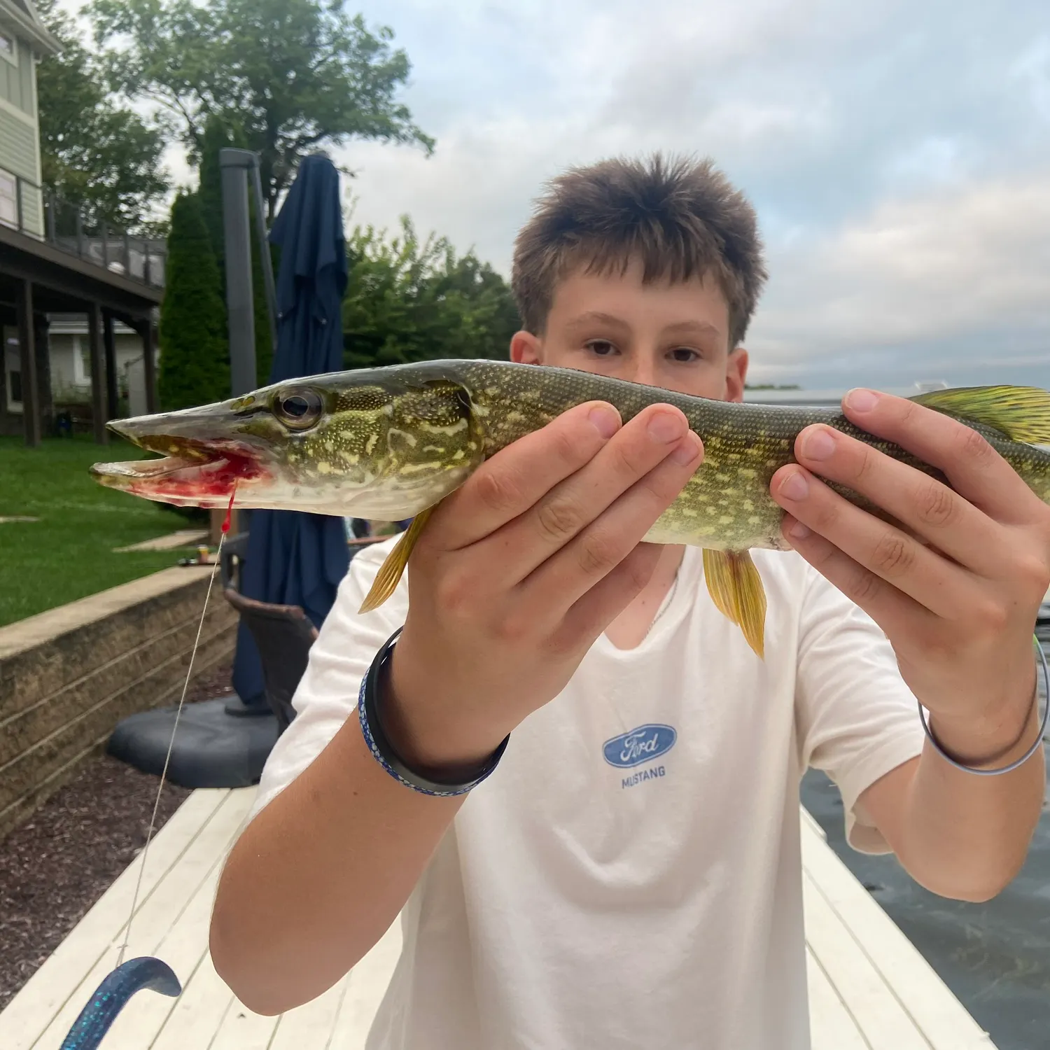 Northern pike caught on Fishbrain
