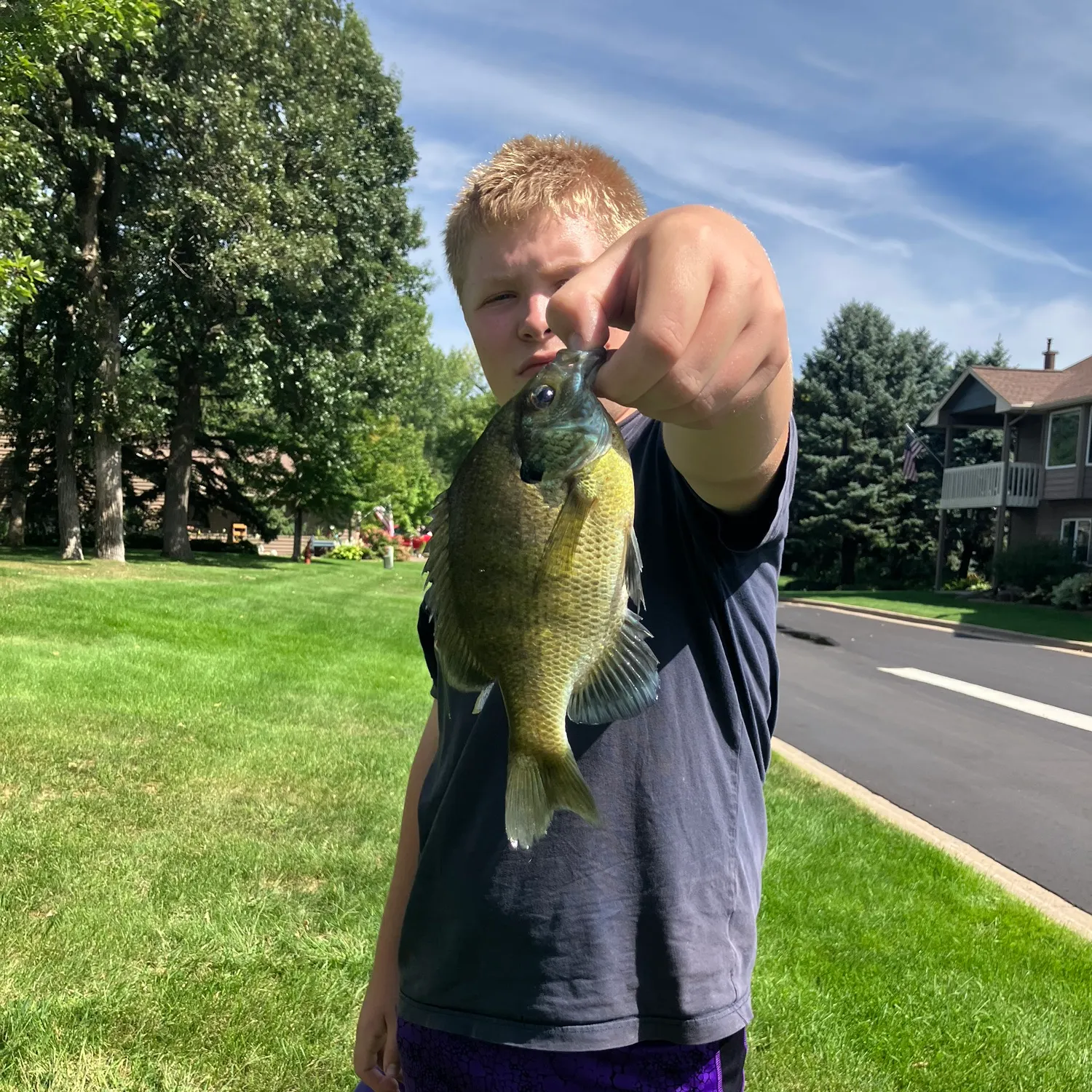 Bluegill caught on Fishbrain