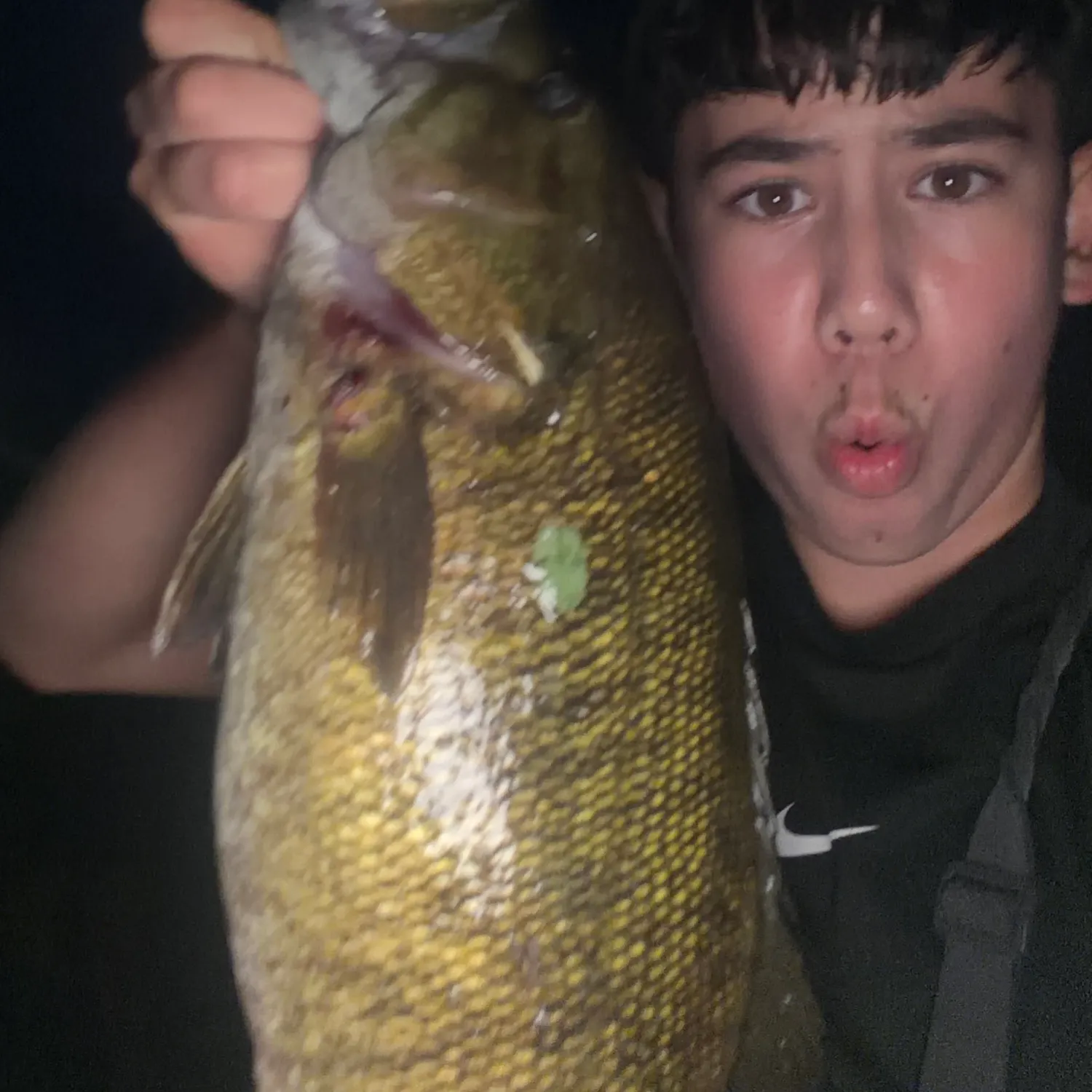 Smallmouth bass caught on Fishbrain