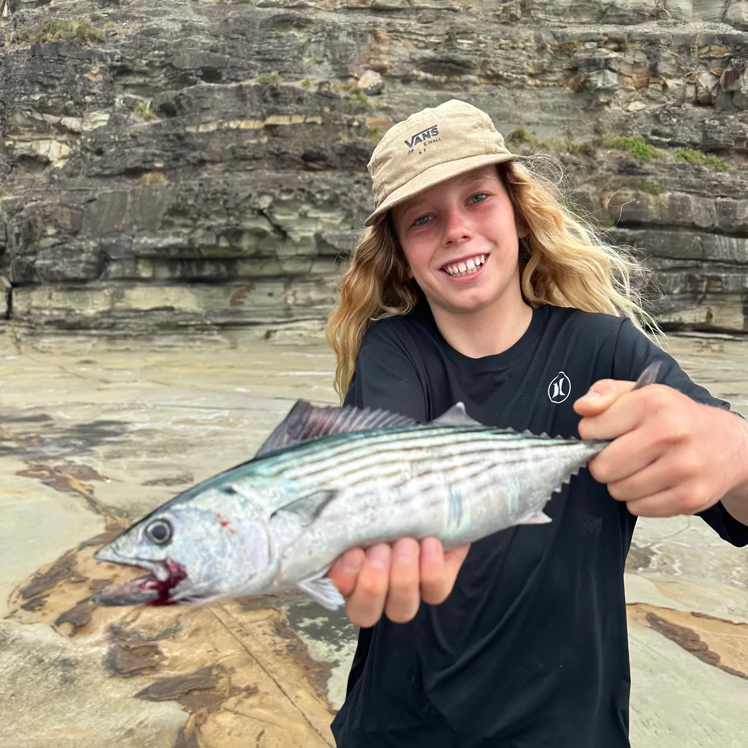 The most recent Striped bonito catches on Fishbrain