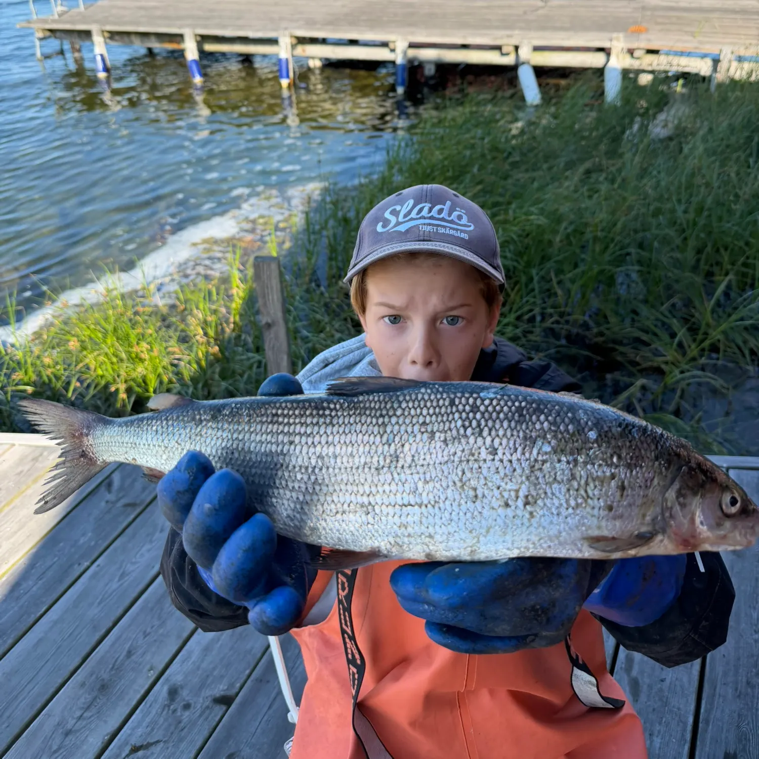 The most recent Lake whitefish catches on Fishbrain