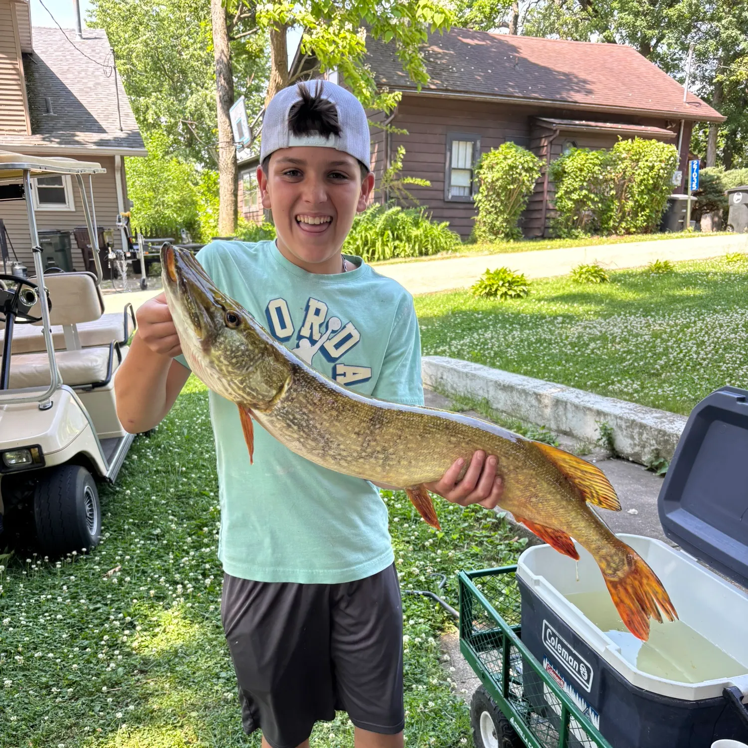 recently logged catches