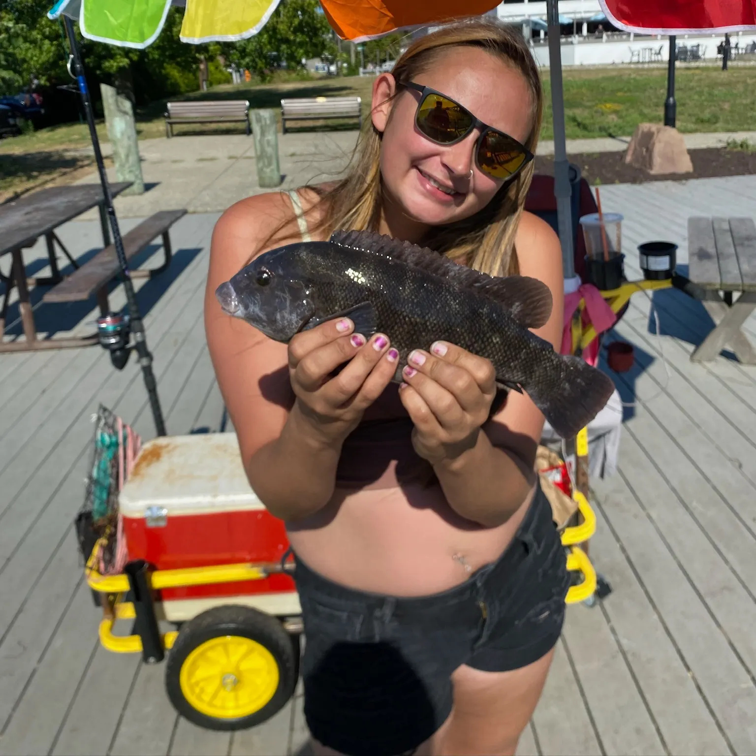 The most recent Tautog catches on Fishbrain