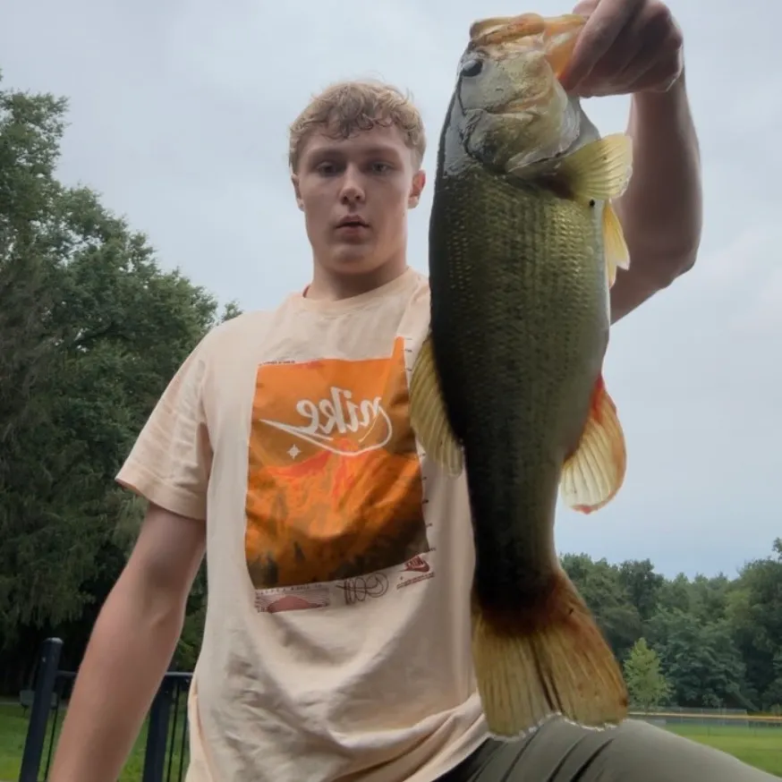 Largemouth bass caught on Fishbrain