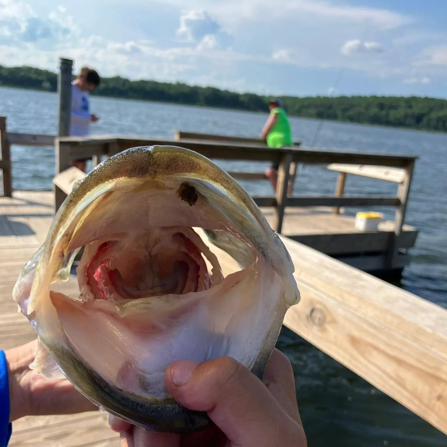 catch