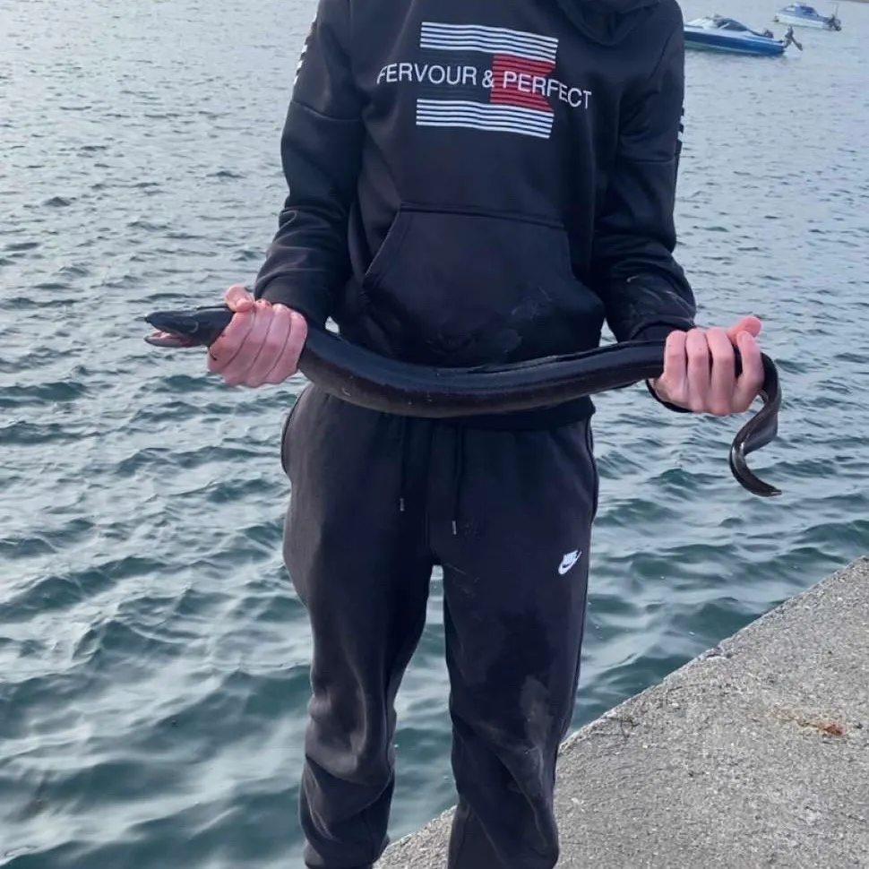 European conger caught on Fishbrain