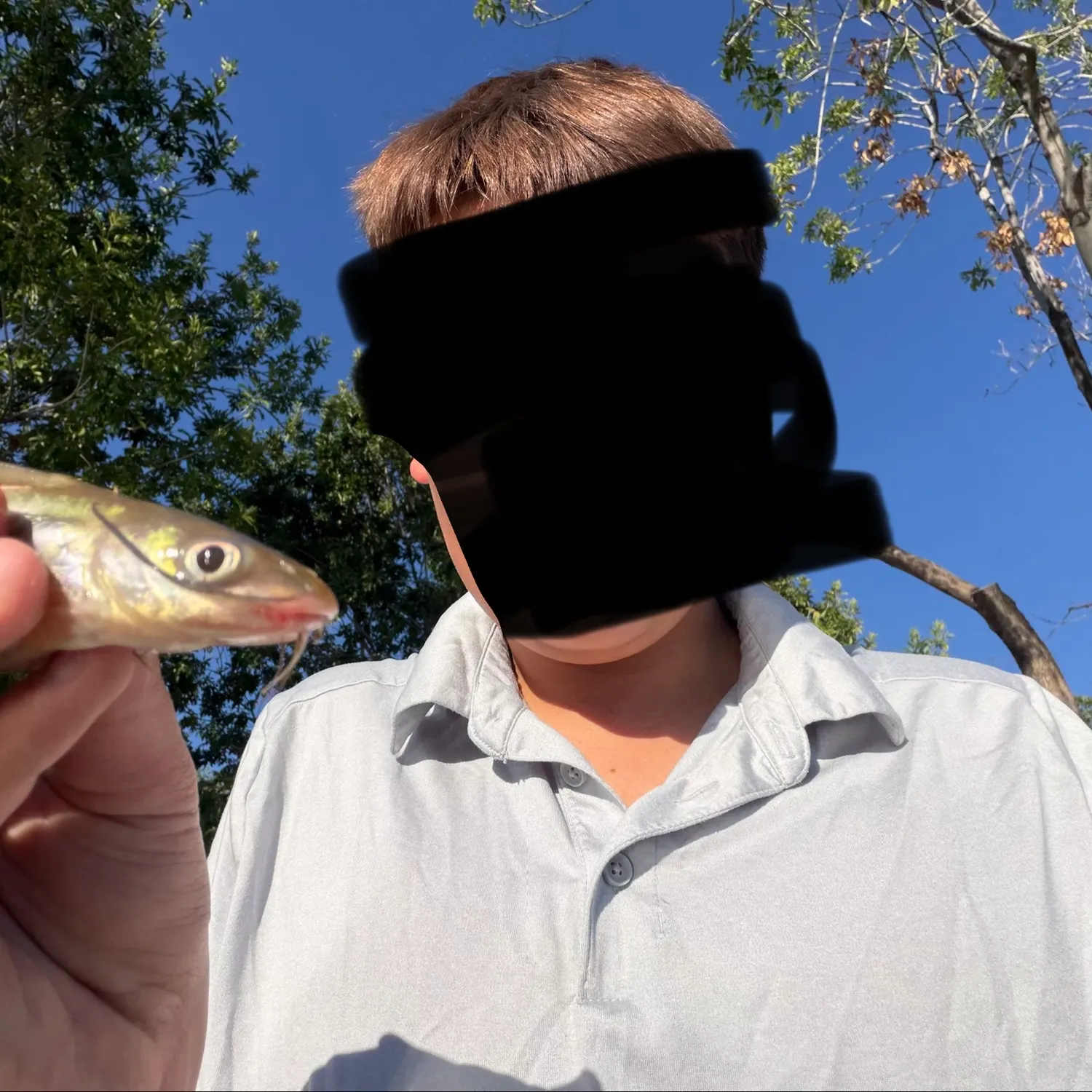 Channel catfish caught on Fishbrain